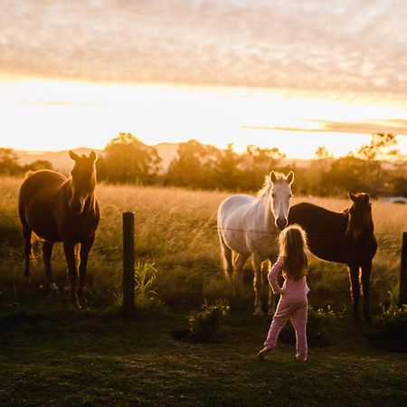 Вилла Fernhill Guest Farm Найсне Экстерьер фото
