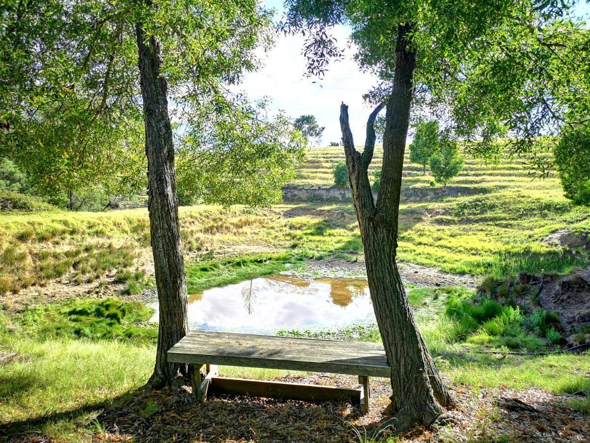 Вилла Fernhill Guest Farm Найсне Экстерьер фото