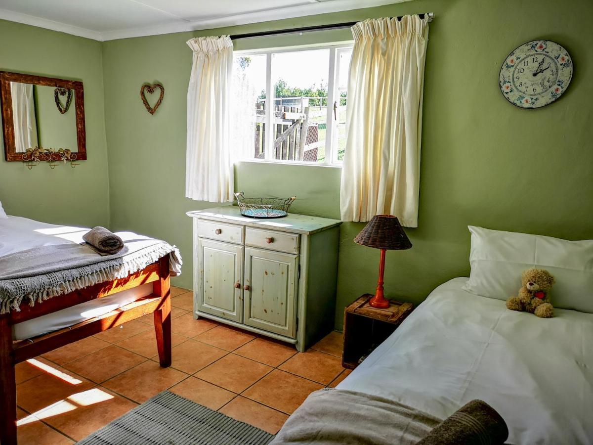 Вилла Fernhill Guest Farm Найсне Экстерьер фото
