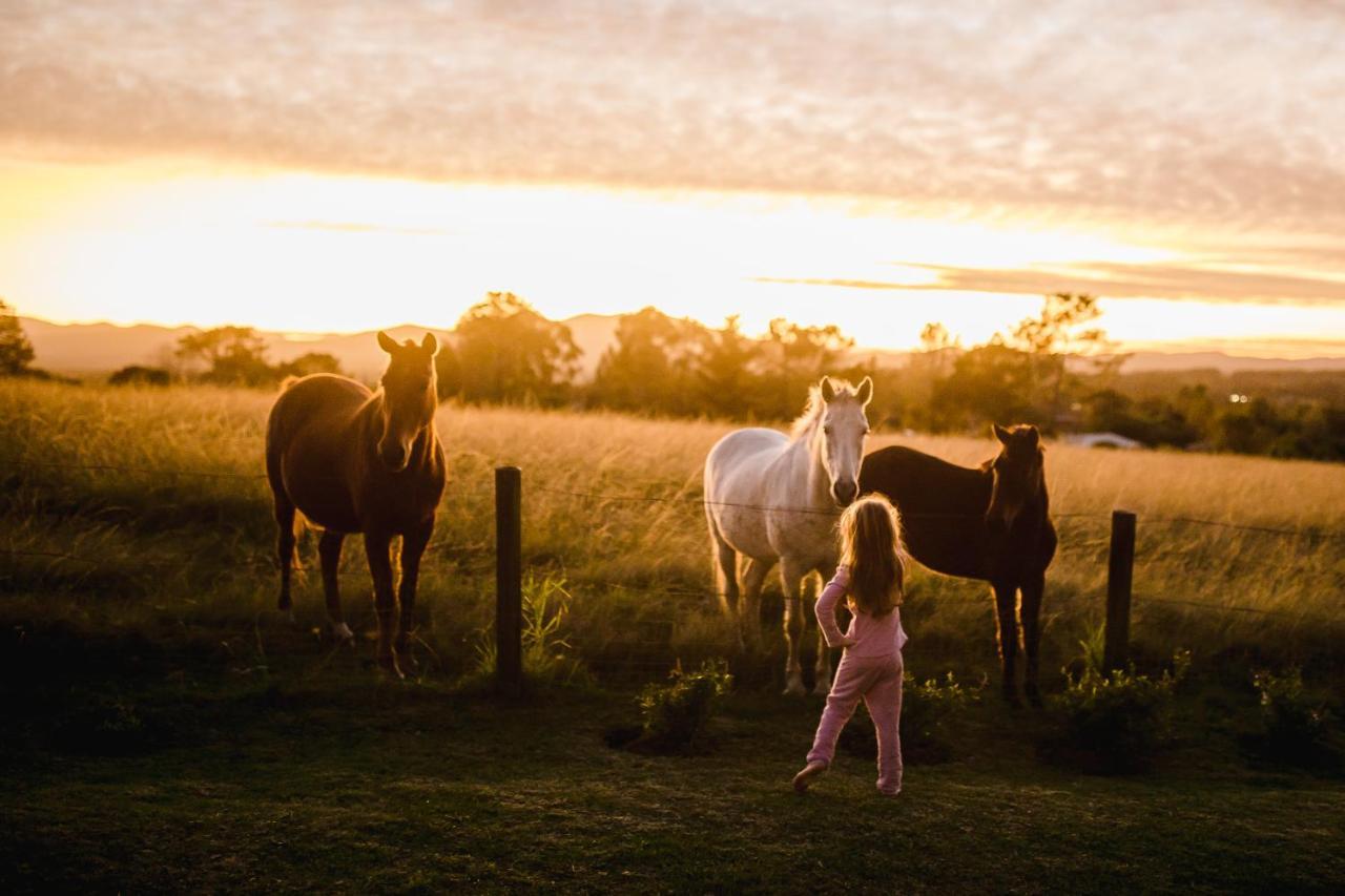 Вилла Fernhill Guest Farm Найсне Экстерьер фото