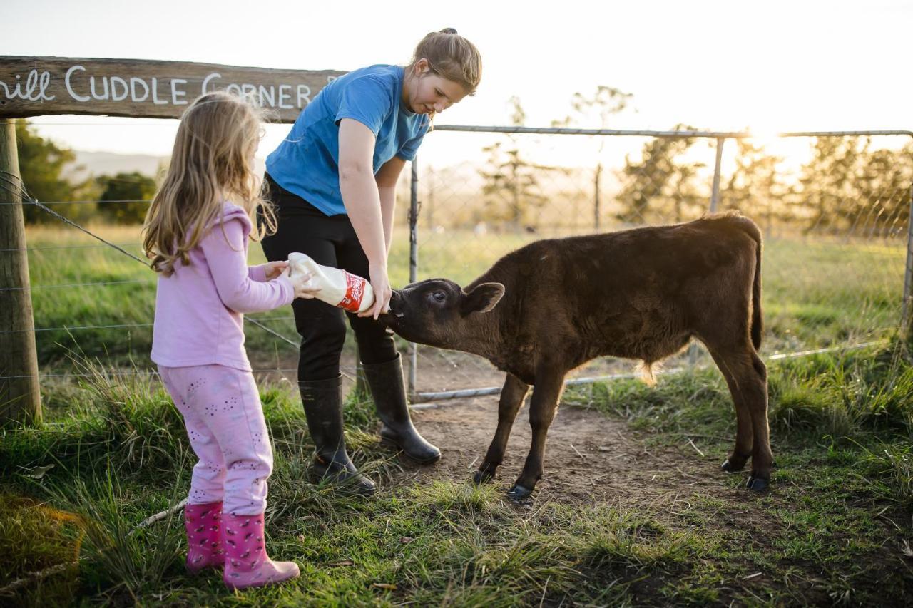 Вилла Fernhill Guest Farm Найсне Экстерьер фото