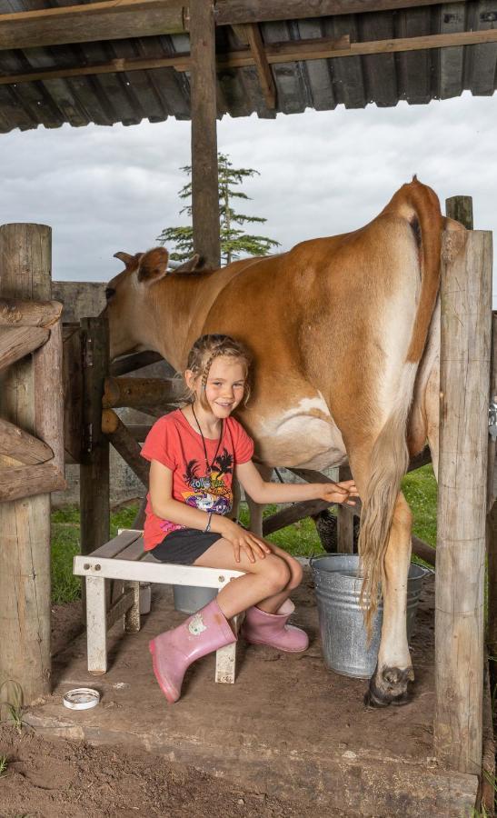 Вилла Fernhill Guest Farm Найсне Экстерьер фото