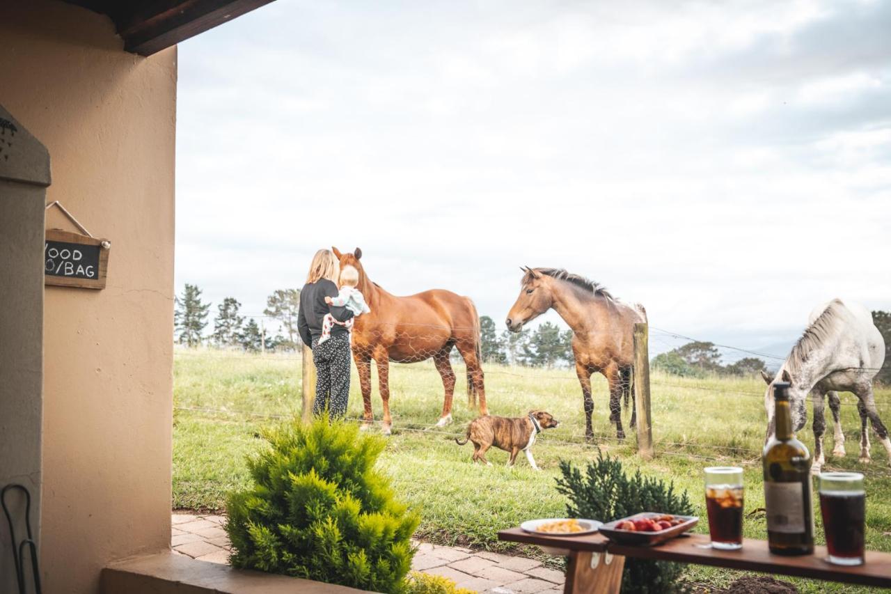 Вилла Fernhill Guest Farm Найсне Экстерьер фото