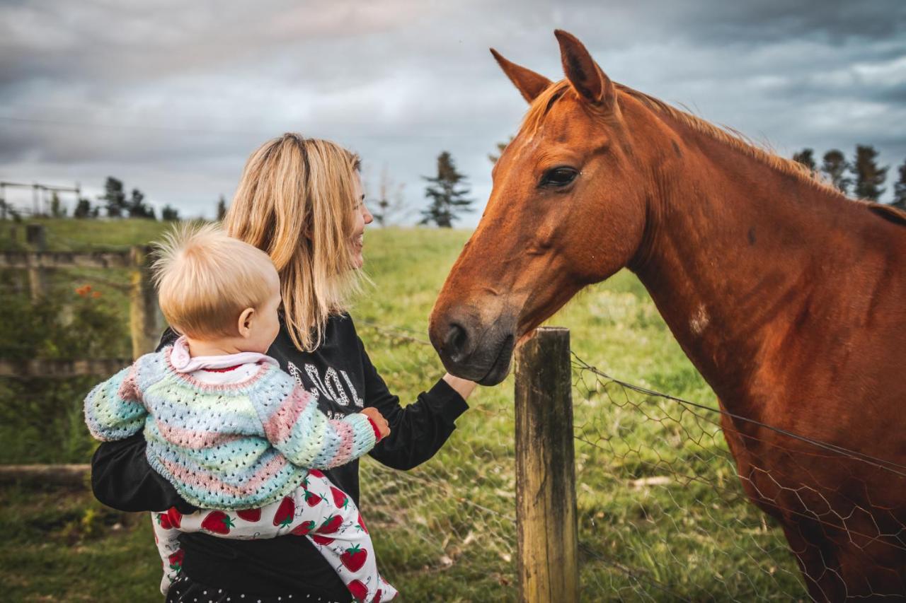 Вилла Fernhill Guest Farm Найсне Экстерьер фото