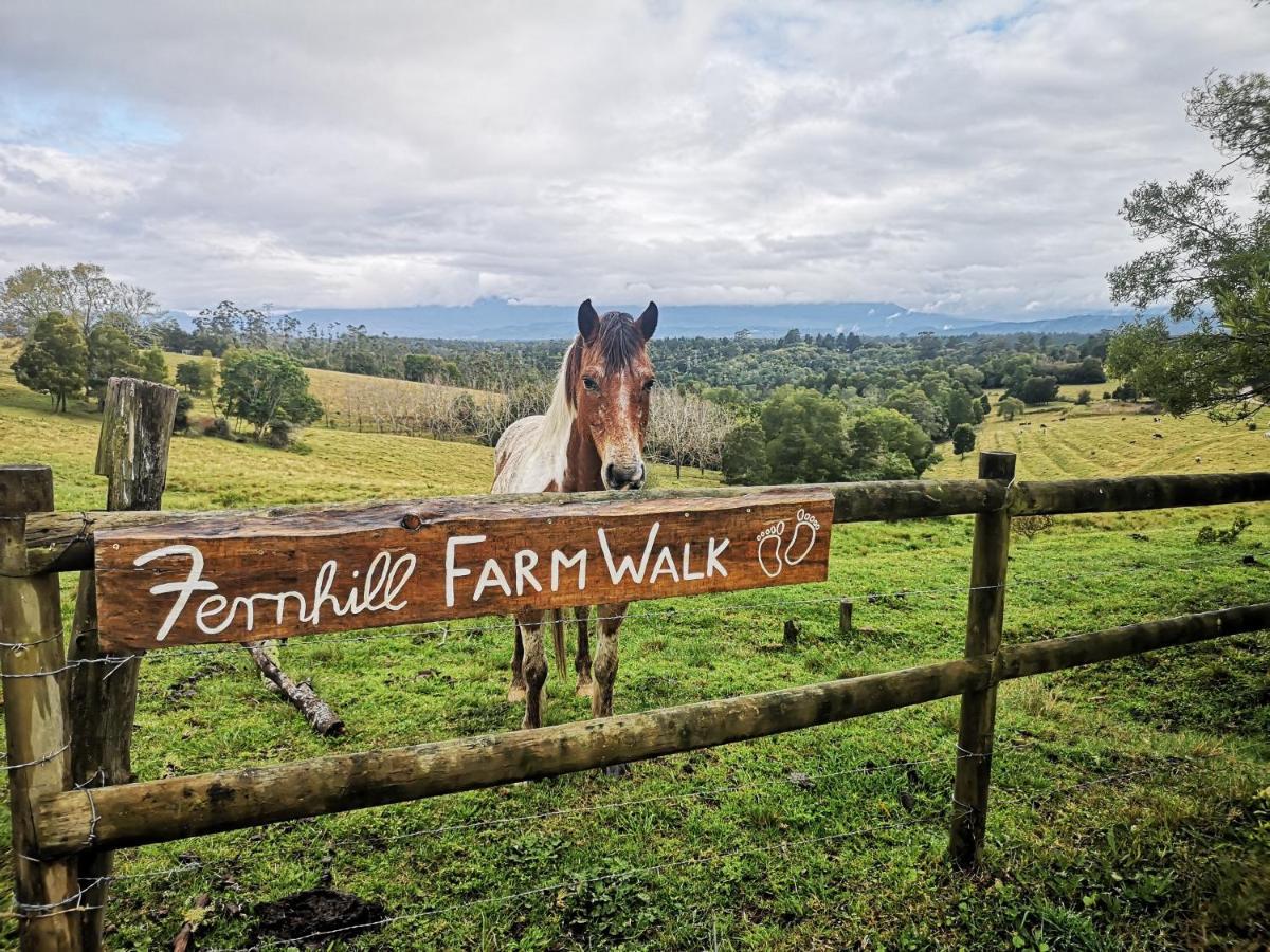 Вилла Fernhill Guest Farm Найсне Экстерьер фото
