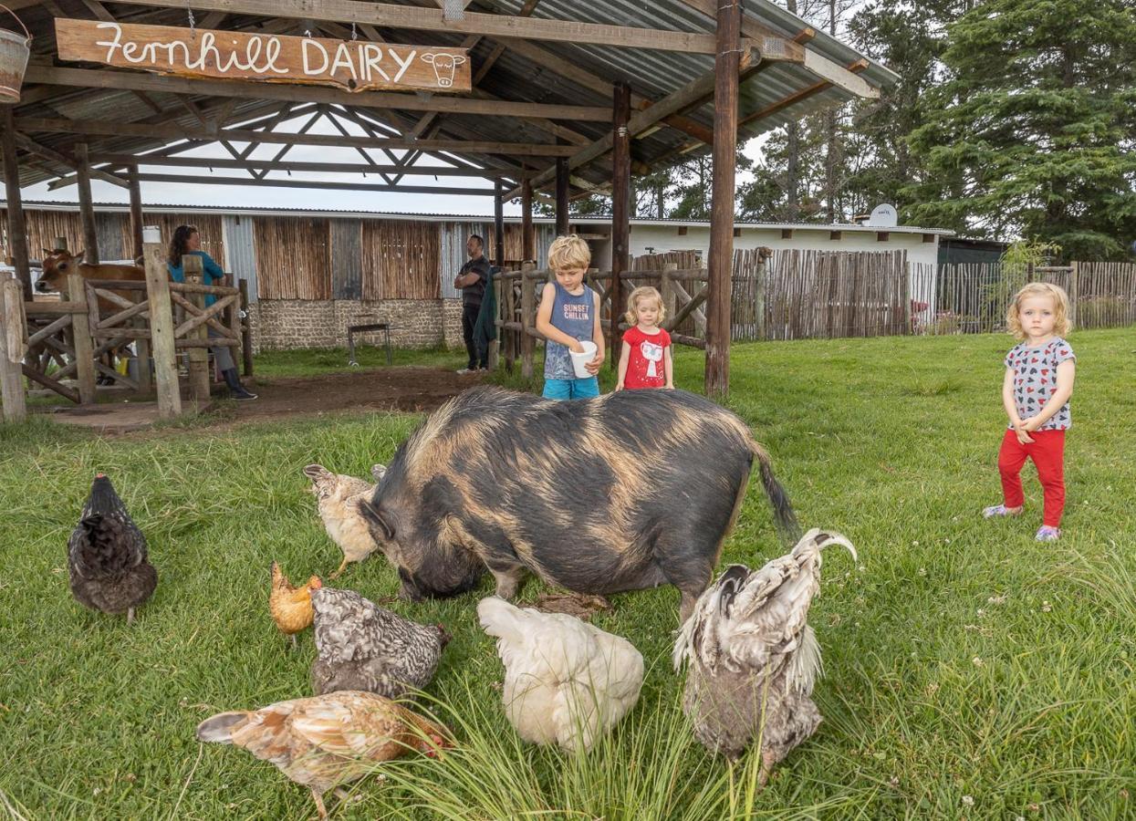 Вилла Fernhill Guest Farm Найсне Экстерьер фото