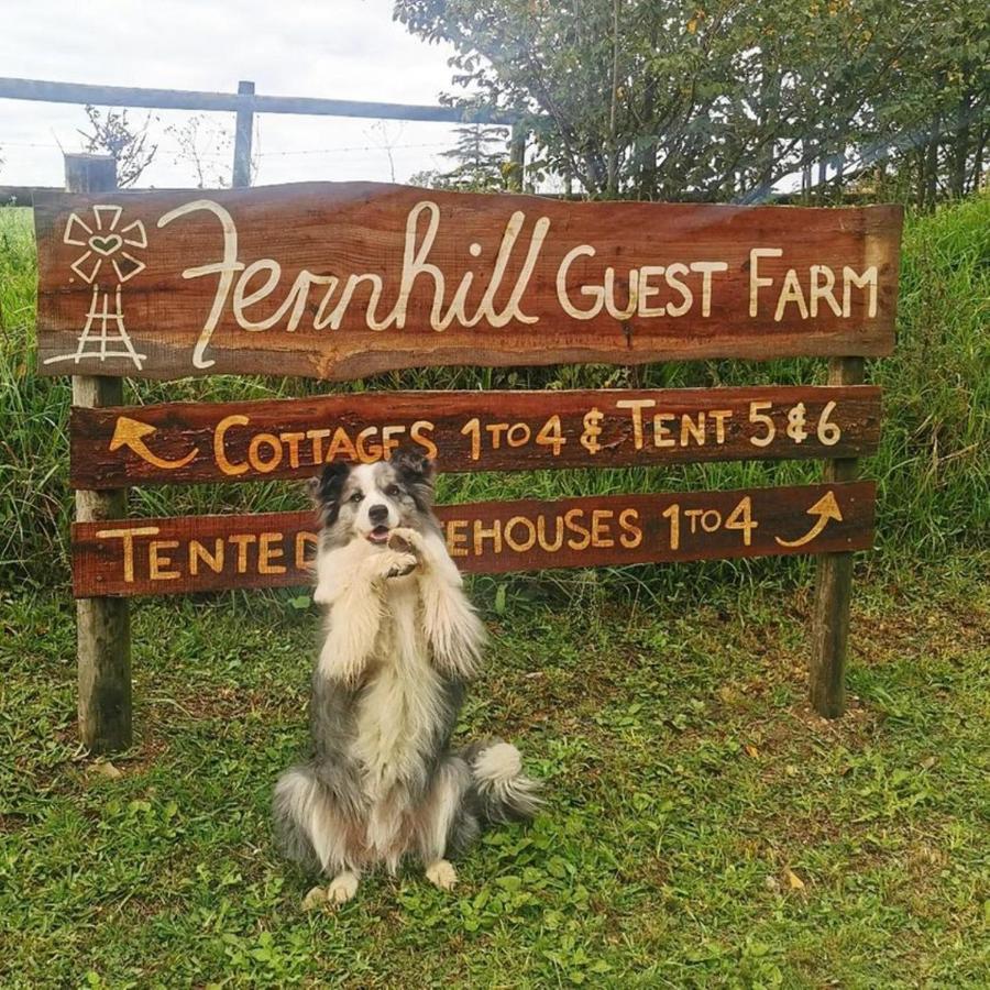 Вилла Fernhill Guest Farm Найсне Экстерьер фото